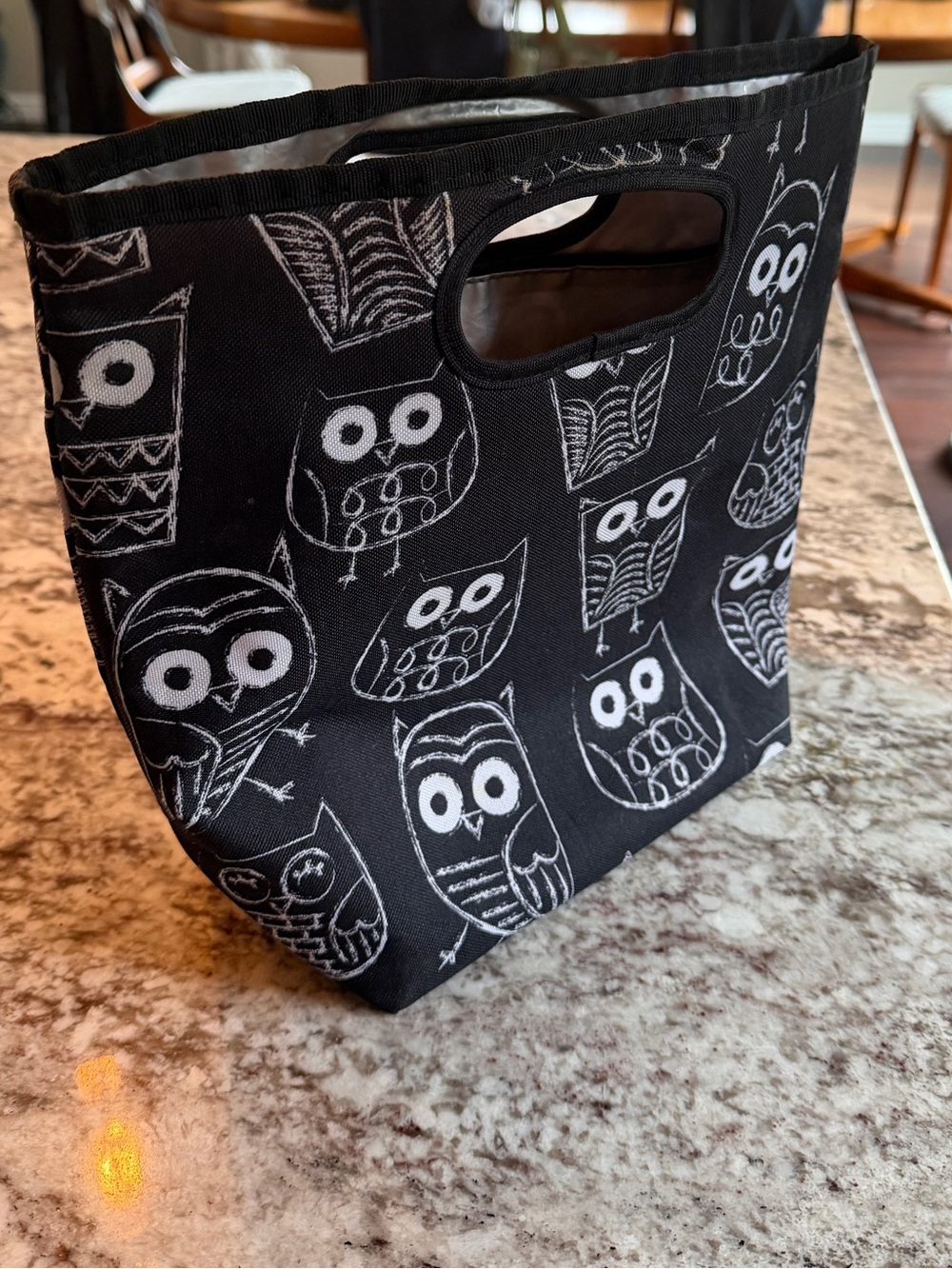 Thirty-One Black Thermal lunch bag with White Owl Sketches